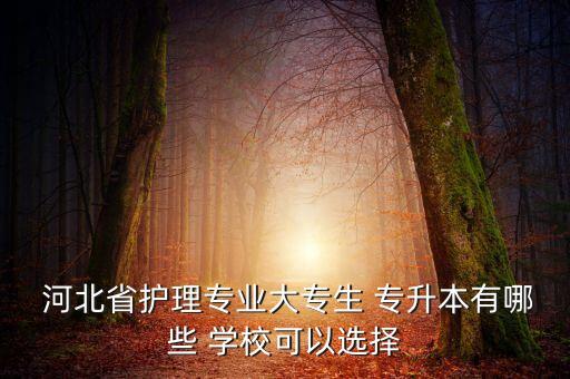  河北省護(hù)理專業(yè)大專生 專升本有哪些 學(xué)?？梢赃x擇