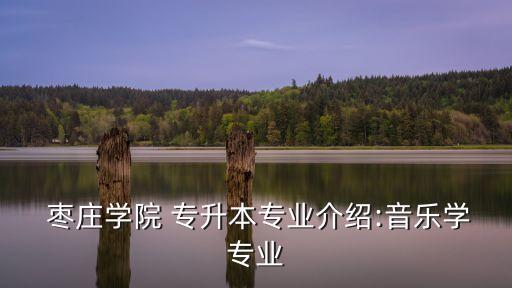 棗莊學(xué)院 專升本專業(yè)介紹:音樂學(xué)專業(yè)