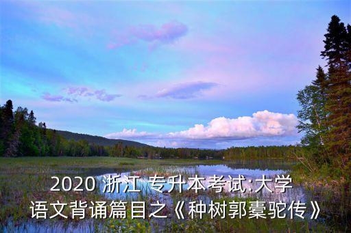 2020 浙江 專升本考試:大學(xué) 語(yǔ)文背誦篇目之《種樹郭橐駝傳》
