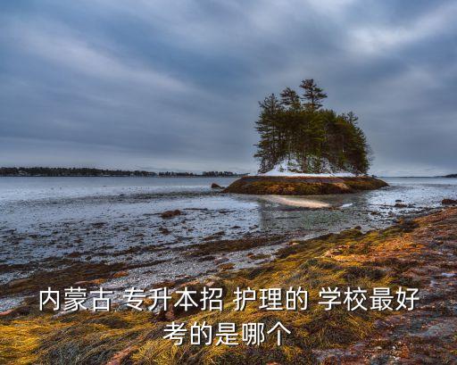 內蒙古 專升本招 護理的 學校最好考的是哪個