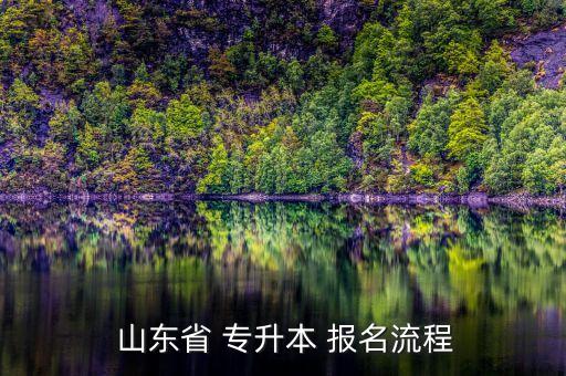  山東省 專升本 報名流程