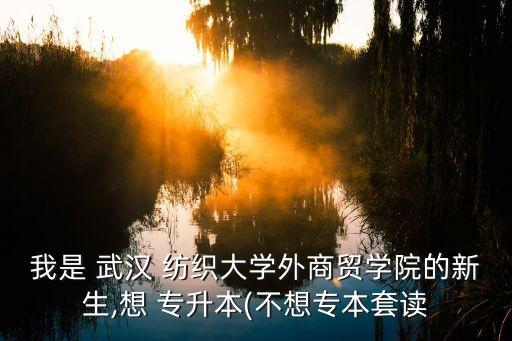 我是 武漢 紡織大學外商貿學院的新生,想 專升本(不想專本套讀