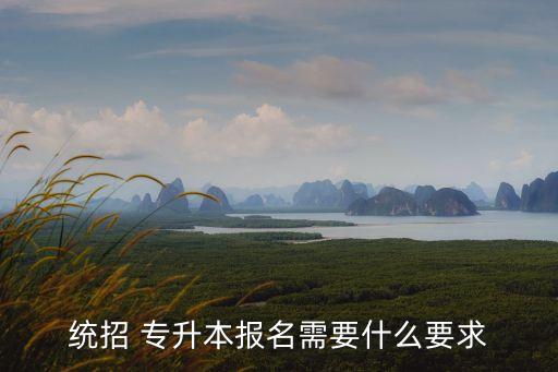 統(tǒng)招 專升本報(bào)名需要什么要求