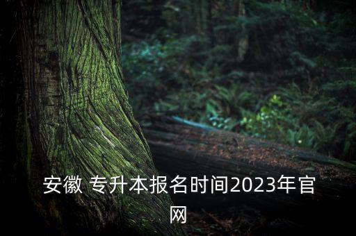  安徽 專升本報名時間2023年官網(wǎng)