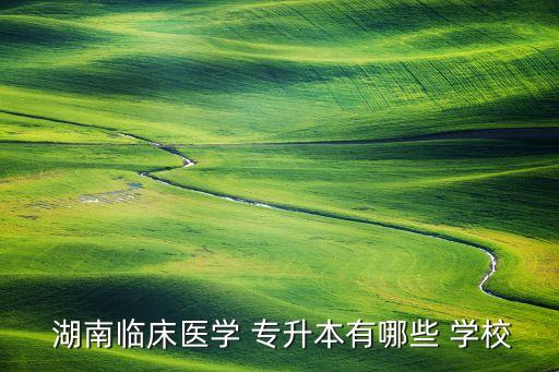  湖南臨床醫(yī)學 專升本有哪些 學校