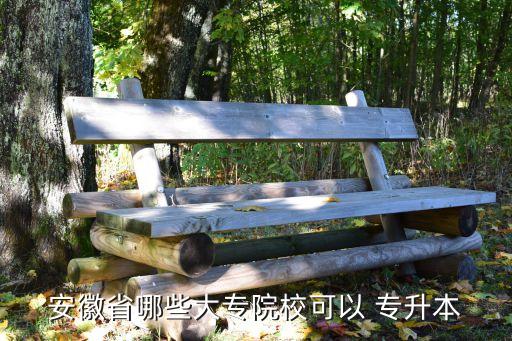 安徽省哪些大專院?？梢?專升本