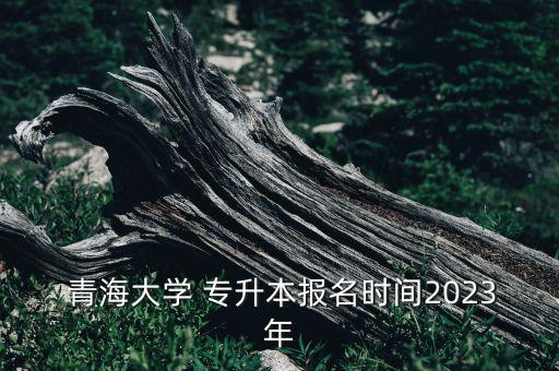  青海大學(xué) 專升本報(bào)名時間2023年