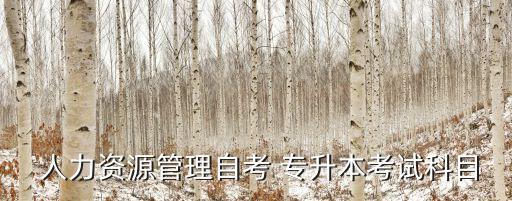 廣州大學(xué)人力資源專業(yè)專升本,人力資源專升本可以升什么專業(yè)