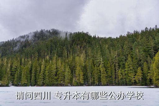 請問四川 專升本有哪些公辦學(xué)校