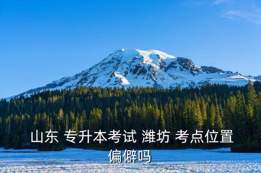  山東 專升本考試 濰坊 考點位置偏僻嗎