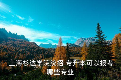  上海杉達(dá)學(xué)院統(tǒng)招 專升本可以報考哪些專業(yè)