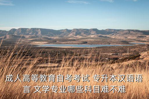 成人高等教育自考考試 專升本漢語語言 文學專業(yè)哪些科目難不難