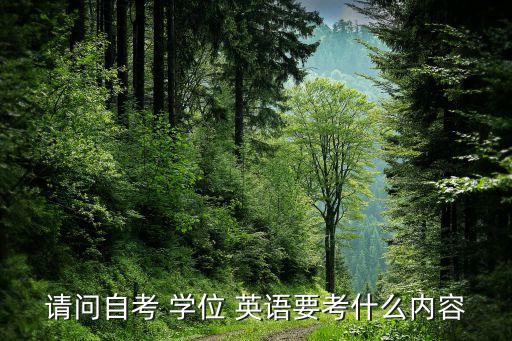 請問自考 學(xué)位 英語要考什么內(nèi)容