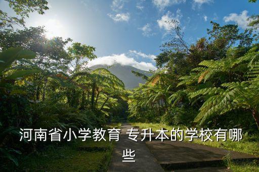  河南省小學教育 專升本的學校有哪些