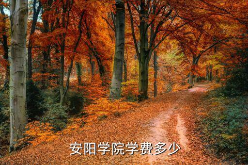  安陽(yáng)學(xué)院學(xué)費(fèi)多少
