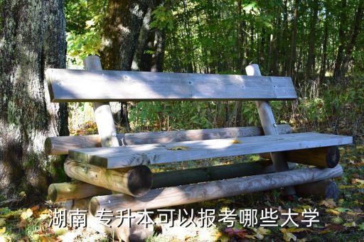  湖南 專升本可以報考哪些大學(xué)