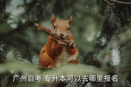 廣州自考 專升本可以去哪里報名