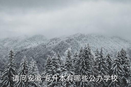 請(qǐng)問安徽 專升本有哪些公辦學(xué)校