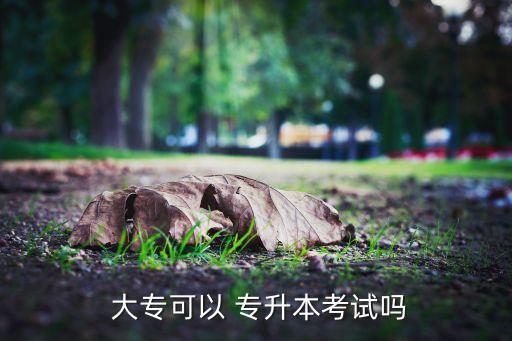  大?？梢?專升本考試嗎