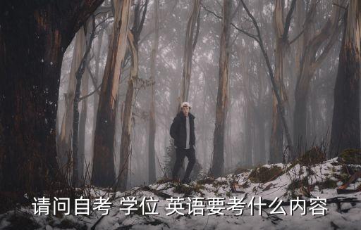 請問自考 學位 英語要考什么內(nèi)容