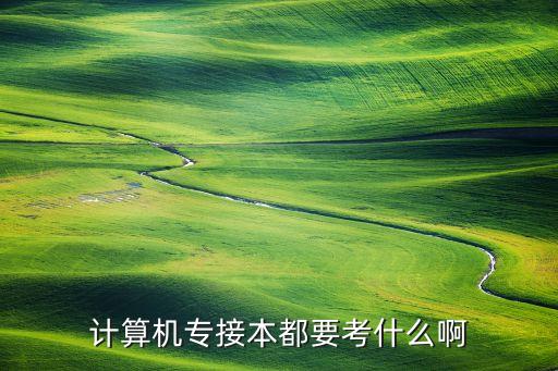 計(jì)算機(jī)專接本都要考什么啊