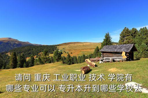 請問 重慶 工業(yè)職業(yè) 技術(shù) 學院有哪些專業(yè)可以 專升本升到哪些學校去