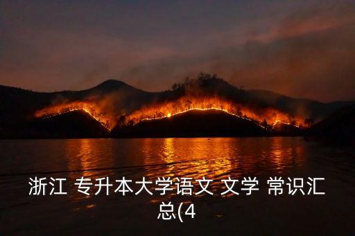 浙江 專升本大學(xué)語文 文學(xué) 常識匯總(4