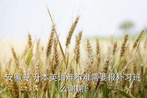 安徽專 升本英語(yǔ)難不難需要報(bào)補(bǔ)習(xí)班么謝謝!