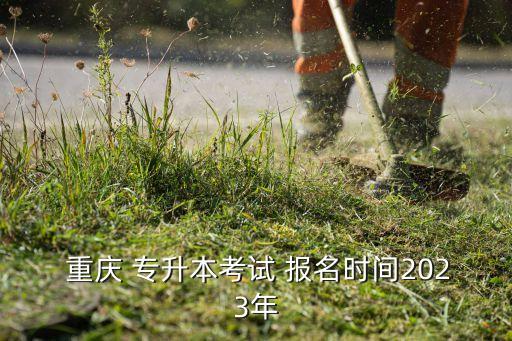  重慶 專升本考試 報名時間2023年