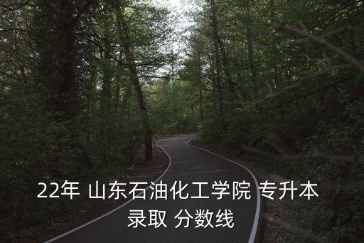 22年 山東石油化工學(xué)院 專升本 錄取 分數(shù)線