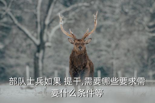部隊(duì)士兵如果 提干,需要哪些要求需要什么條件等