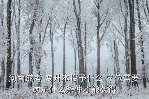 河南成考 專(zhuān)升本授予什么 學(xué)位需要滿(mǎn)足什么條件才能獲得