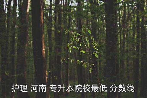 護(hù)理 河南 專升本院校最低 分?jǐn)?shù)線