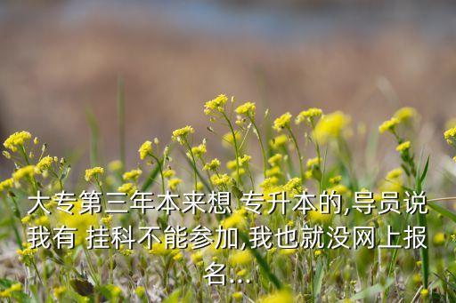 大專第三年本來想 專升本的,導員說我有 掛科不能參加,我也就沒網(wǎng)上報名...