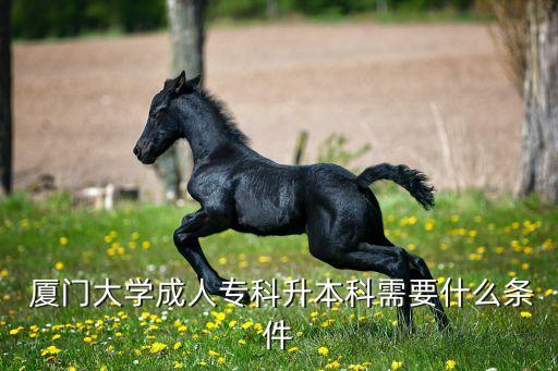  廈門大學(xué)成人專科升本科需要什么條件