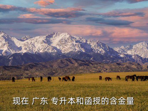 現(xiàn)在 廣東 專(zhuān)升本和函授的含金量