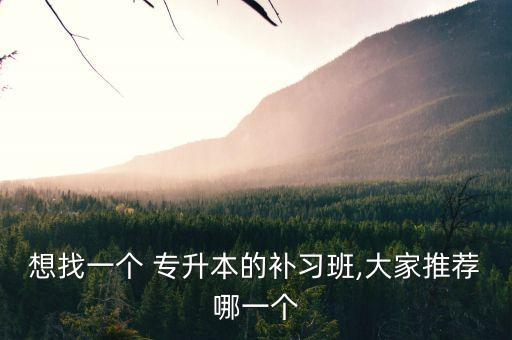 想找一個 專升本的補習班,大家推薦哪一個