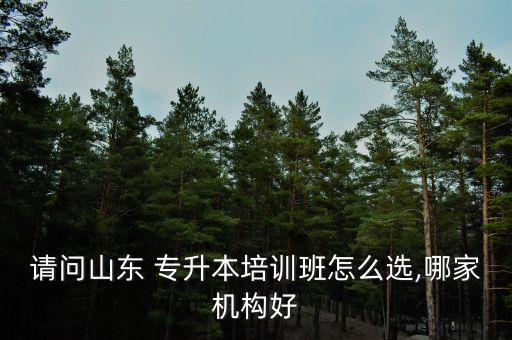 請問山東 專升本培訓(xùn)班怎么選,哪家機(jī)構(gòu)好