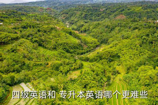 四級(jí)和專升本單詞,專升本英語(yǔ)背四級(jí)單詞行么