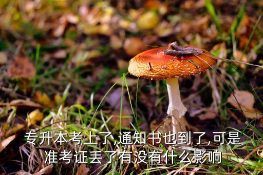  專升本考上了,通知書也到了,可是 準考證丟了有沒有什么影響