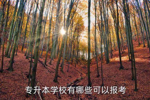 專升本學(xué)校有哪些可以報考