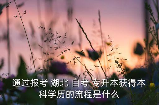 通過報(bào)考 湖北 自考 專升本獲得本科學(xué)歷的流程是什么