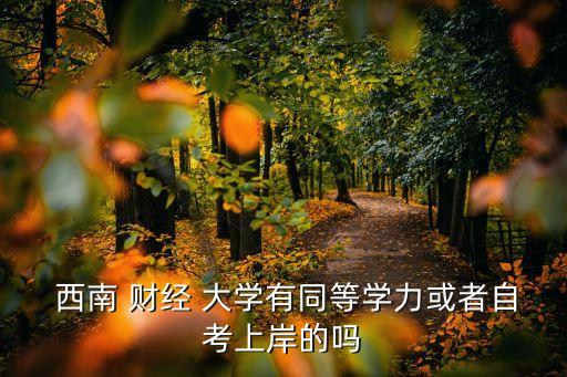  西南 財(cái)經(jīng) 大學(xué)有同等學(xué)力或者自考上岸的嗎