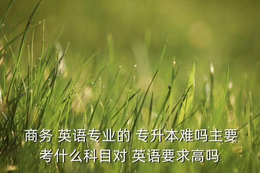 專升本商務(wù)英語(yǔ)寫作,商務(wù)英語(yǔ)專升本可以選擇什么專業(yè)
