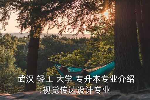  武漢 輕工 大學 專升本專業(yè)介紹:視覺傳達設計專業(yè)