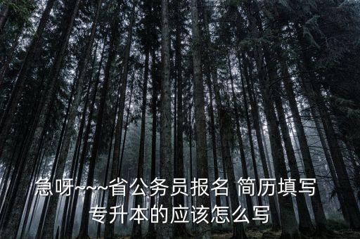全日制專(zhuān)升本的簡(jiǎn)歷