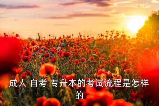 自考專(zhuān)升本程序