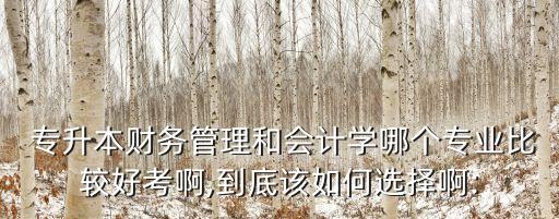  專升本財(cái)務(wù)管理和會(huì)計(jì)學(xué)哪個(gè)專業(yè)比較好考啊,到底該如何選擇啊: