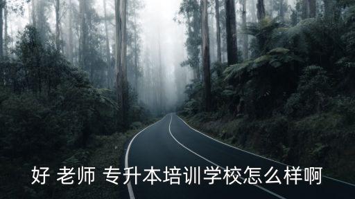 好 老師 專(zhuān)升本培訓(xùn)學(xué)校怎么樣啊