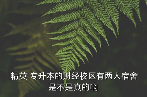  精英 專升本的財經(jīng)校區(qū)有兩人宿舍是不是真的啊